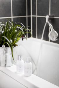 Jaka roślina do łazienki sprawdzi się najlepiej?
