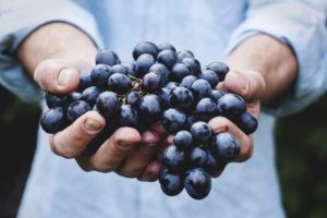 Nalewka z winogrona – zalety i przygotowanie