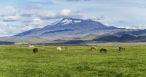 Hekla – królowa islandzkich wulkanów