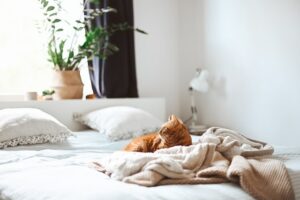 Łóżka sypialniane: Trendy i nowości w projektowaniu na nadchodzący rok